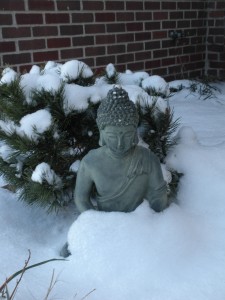 Buddha Under Her Winter Blanket